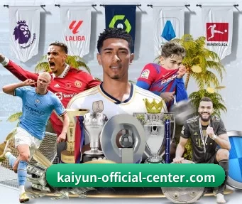 开云 APP（kaiyun）