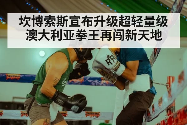 boxing training(kaiyun)